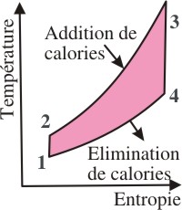 Cycle thermdynamique de la température et de l'entropie